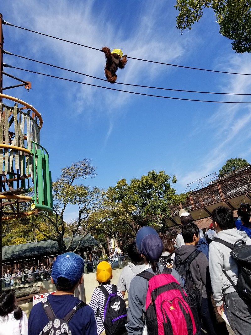 お弁当を持って、とべ動物園に行きました。