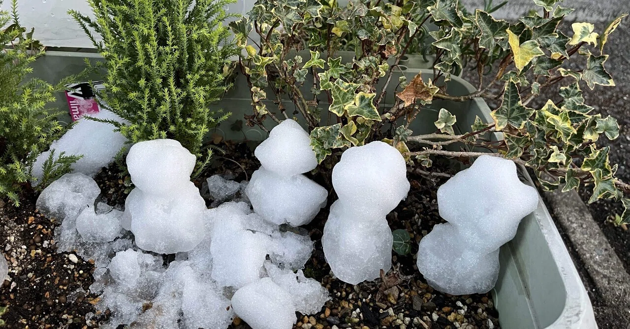 雪あそび