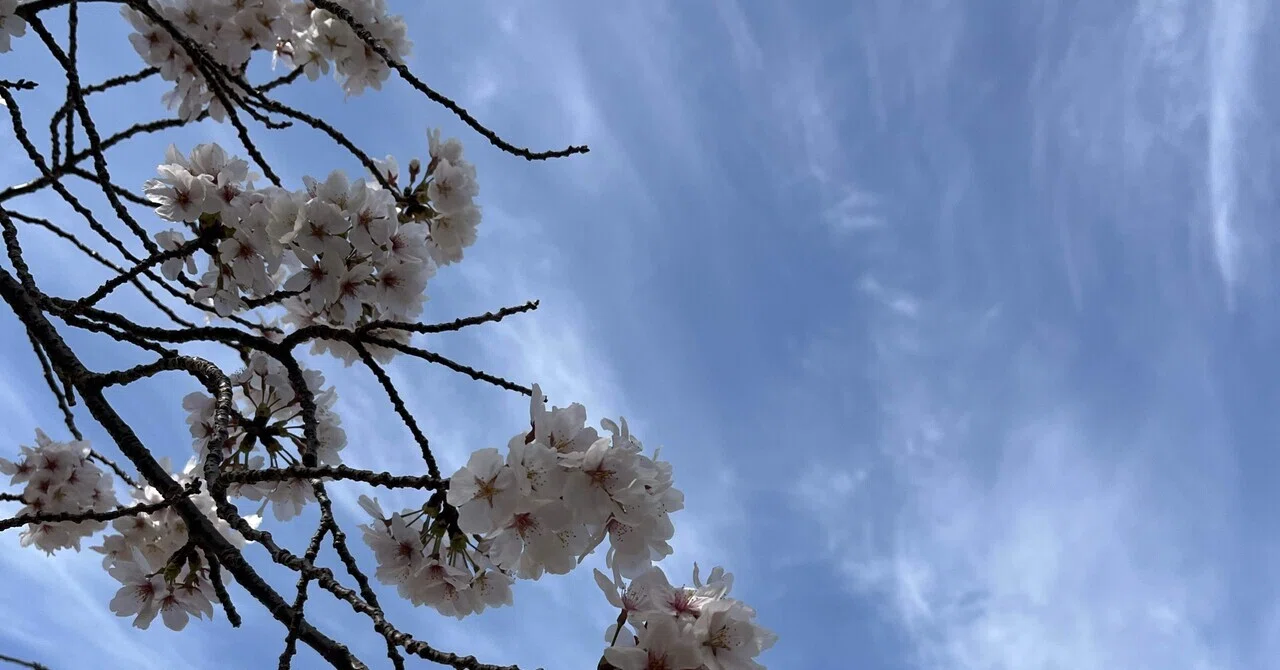 砥部ゆとり公園