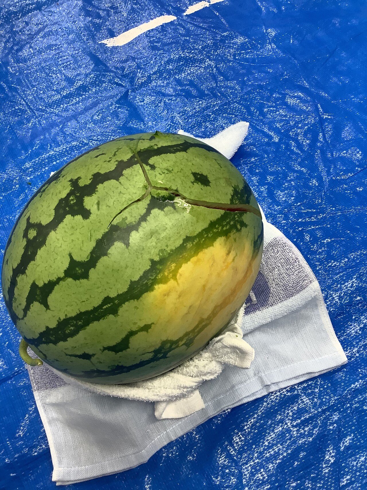 画像9